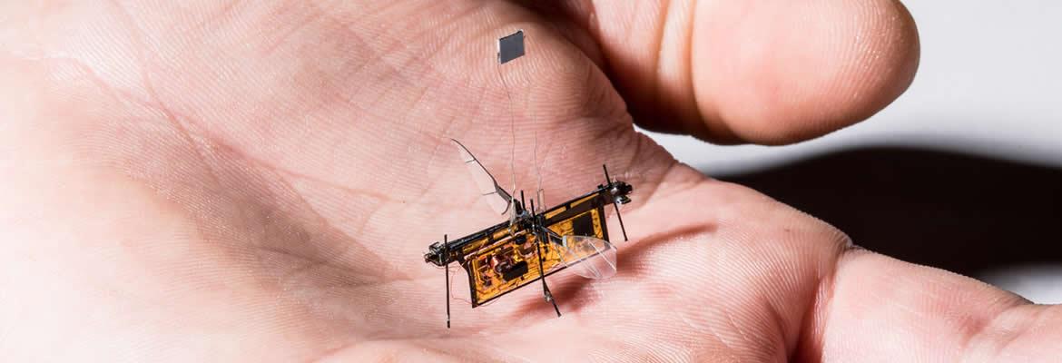 El minúsculo robot volador que no necesita baterías